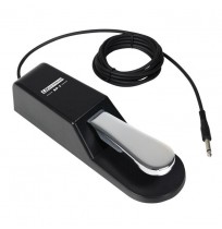 LD SP1 sustain pedal 